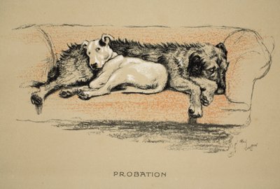 Bewährung, 1930, 1. Ausgabe von 